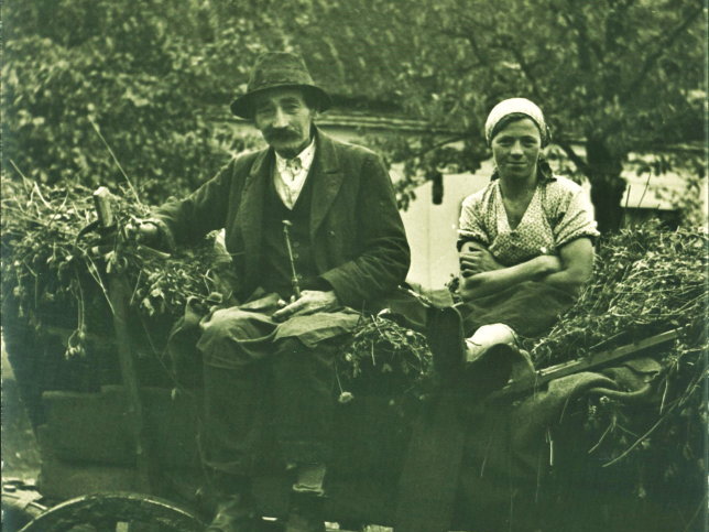 Riedlingsdorf, Onkel und Cousine
