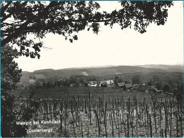 Tschaterberg, Csaterberg