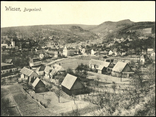 Wiesen, 1925