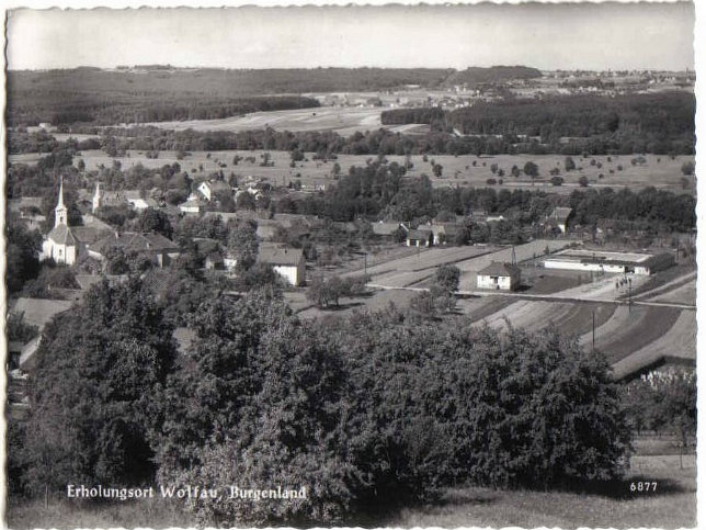 Wolfau