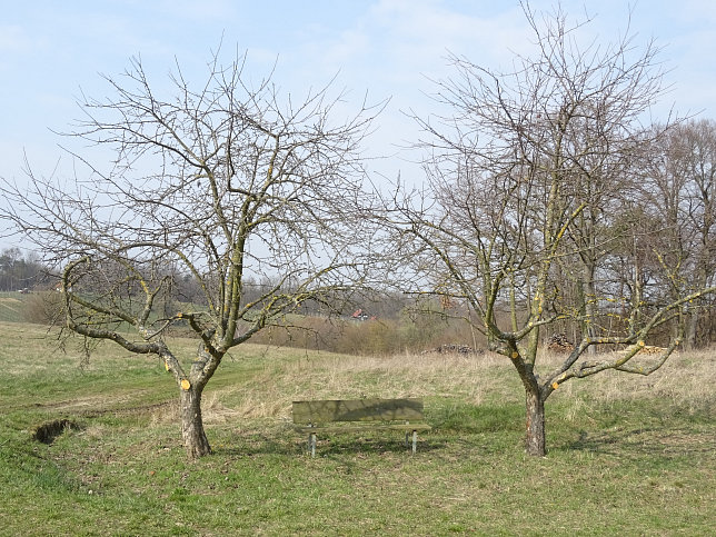 Dt. Bieling, Geiderbergrunde