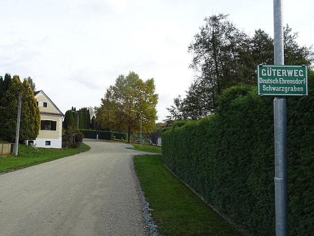 Dt. Ehrensdorf - 4 W Runde (Wald Wiese Wein Walking)