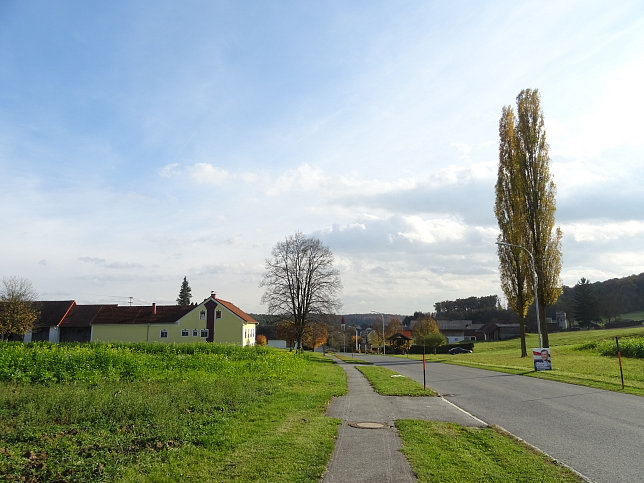Dt. Ehrensdorf - 4 W Runde (Wald Wiese Wein Walking)