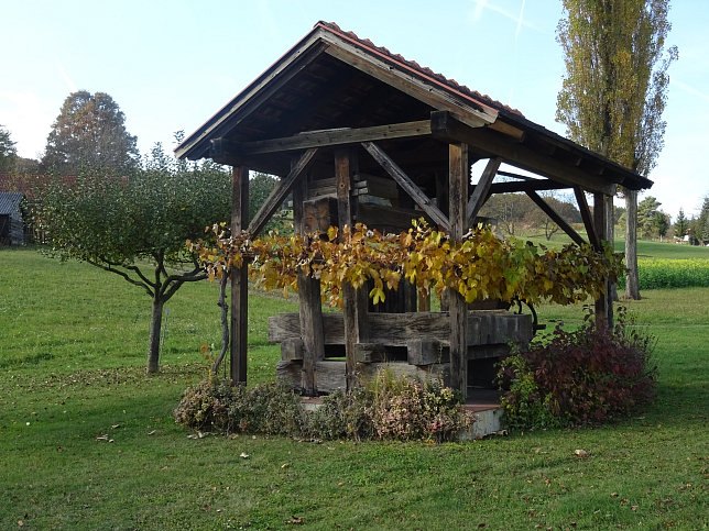 Dt. Ehrensdorf - 4 W Runde (Wald Wiese Wein Walking)