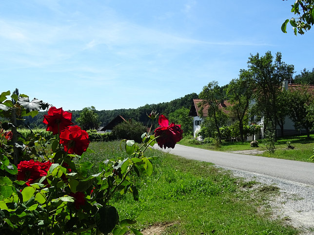 Rundweg Gaas - Maria Weinberg