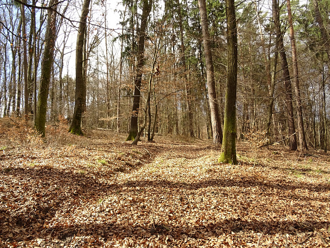 Gerersdorf - Berg- & Waldweg