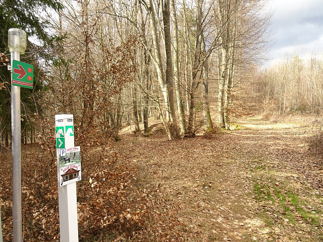 Gerersdorf - Berg- & Waldweg