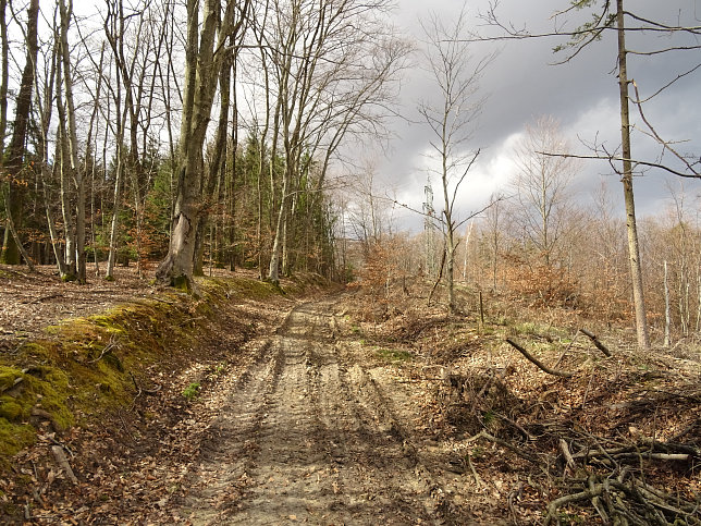 Gerersdorf - Berg- & Waldweg