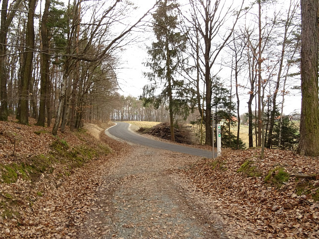 Gerersdorf - Berg- & Waldweg