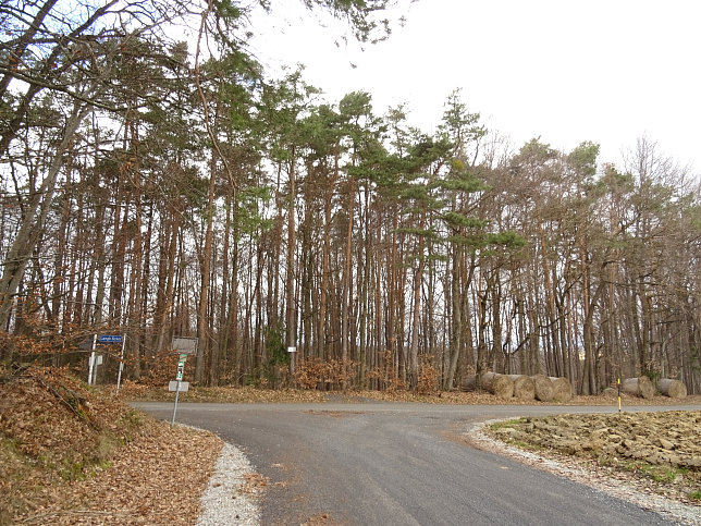 Gerersdorf - Berg- & Waldweg