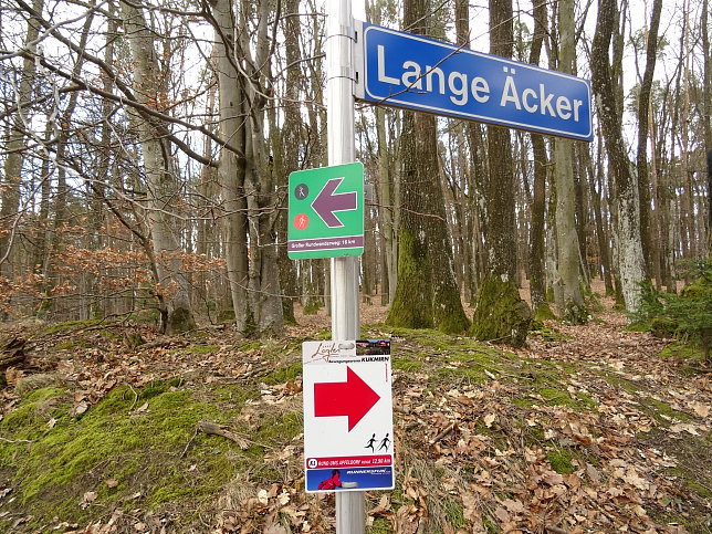 Gerersdorf - Berg- & Waldweg