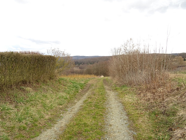 Gerersdorf - Berg- & Waldweg