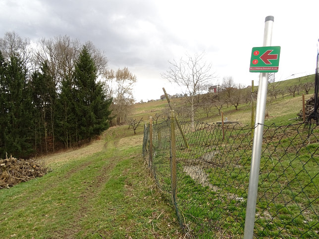 Gerersdorf - Berg- & Waldweg