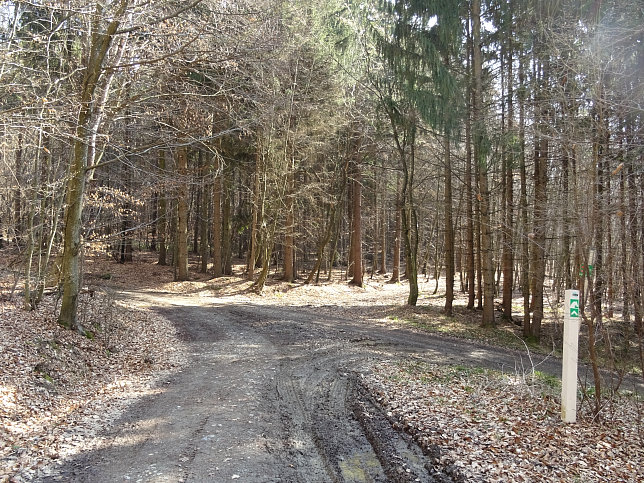 Gerersdorf - Wald- & Wiesenwanderweg