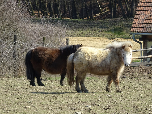 Gerersdorf - Wald- & Wiesenwanderweg