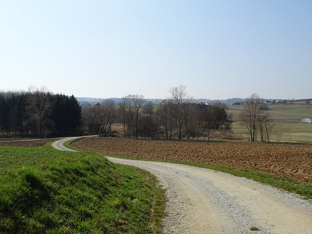 Gerersdorf - Wald- & Wiesenwanderweg