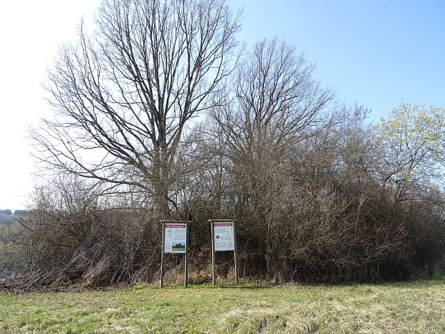 Gerersdorf - Wald- & Wiesenwanderweg