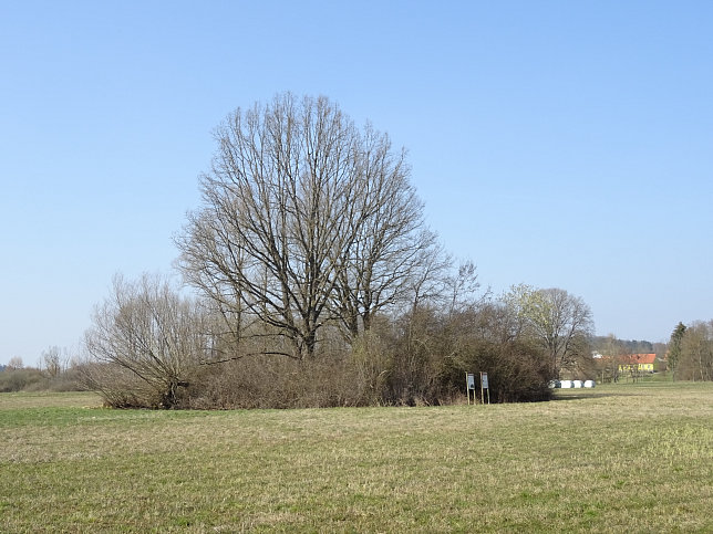 Gerersdorf - Wald- & Wiesenwanderweg