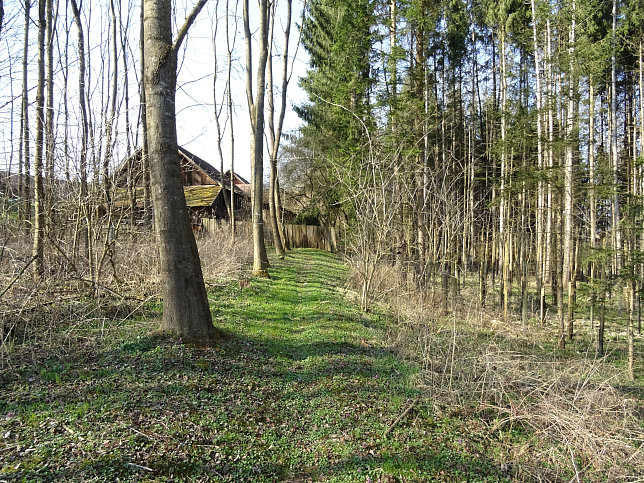Gerersdorf - Wald- & Wiesenwanderweg