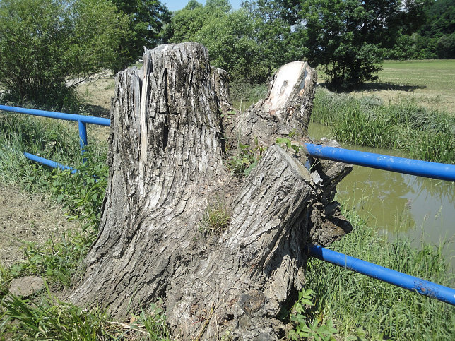 Gssing - Wasserweg