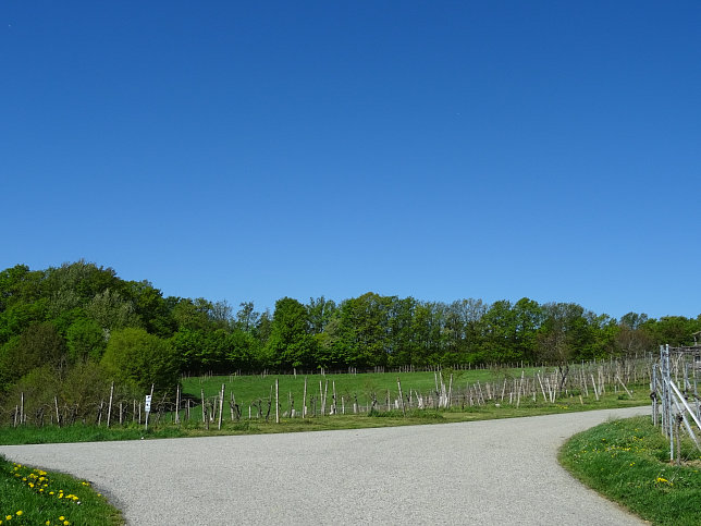 Heiligenbrunn - Wald-Runde