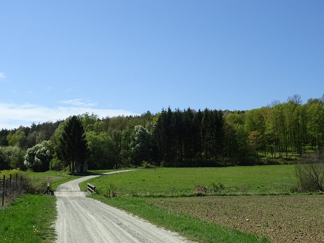 Heiligenbrunn - Wald-Runde