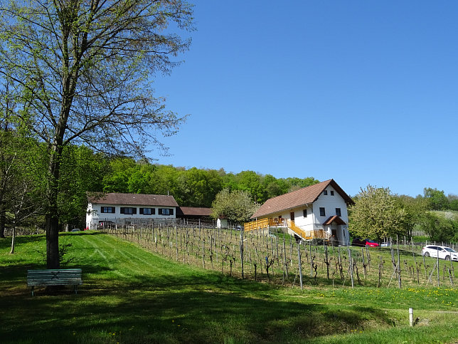 Heiligenbrunn - Wald-Runde