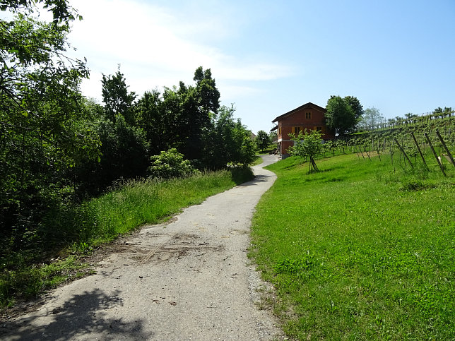 Heiligenbrunn - Zeinerberg-Runde