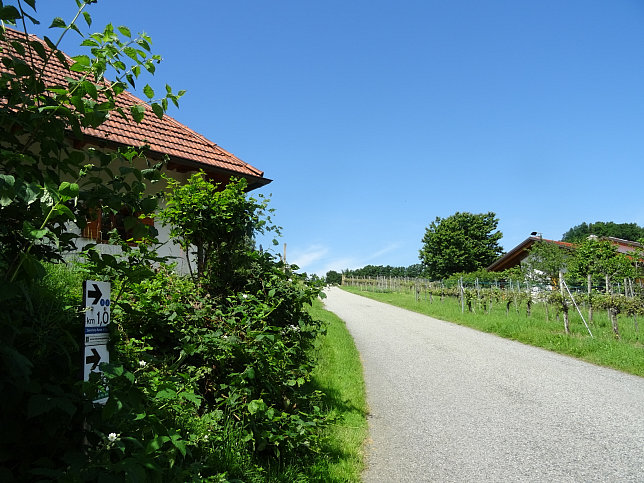 Heiligenbrunn - Zeinerberg-Runde