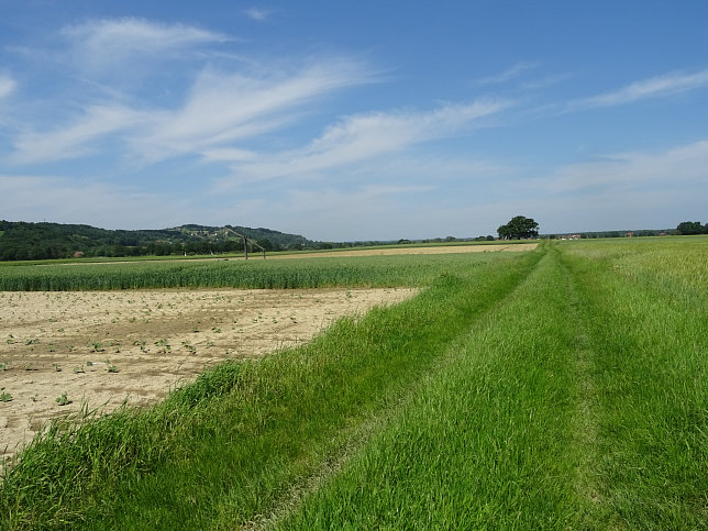 Heiligenbrunn - Zeinerberg-Runde