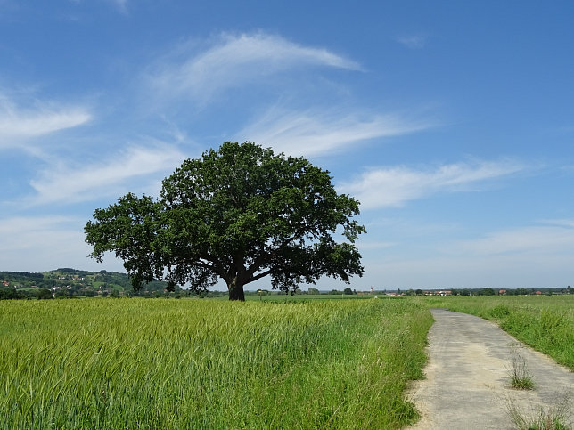 Heiligenbrunn - Zeinerberg-Runde