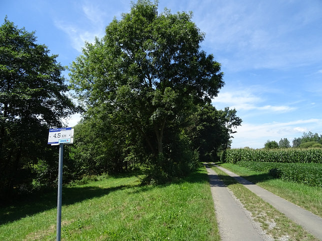 Heiligenkreuz - Lafnitztaler Laufpfad