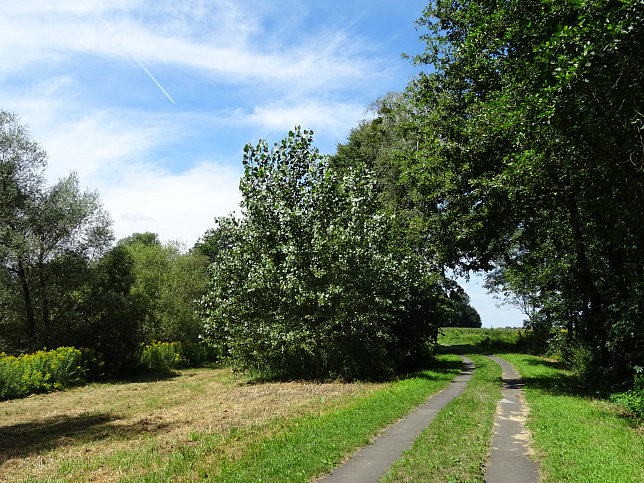 Heiligenkreuz - Lafnitztaler Laufpfad