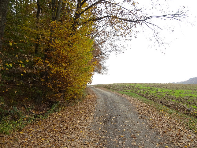Jennersdorf - Thermenrundwanderweg