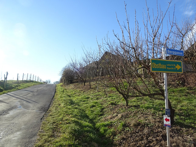 Kukmirn - Rund ums Apfeldorf K1