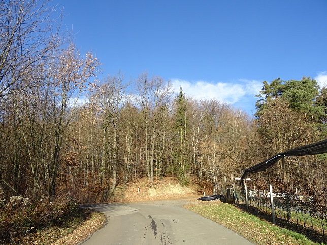 Kukmirn - Rund ums Apfeldorf K1