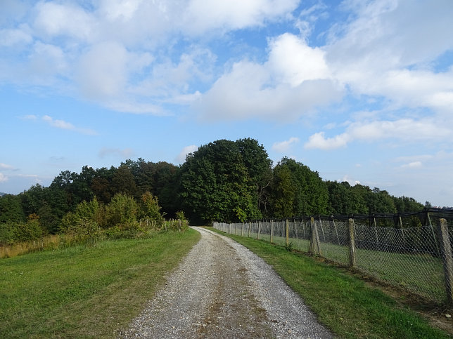Limbach - Apfelpanorama