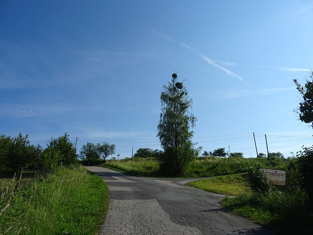 Limbach - Fitnesstour