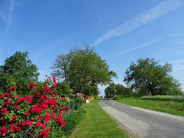 Limbach - Fitnesstour