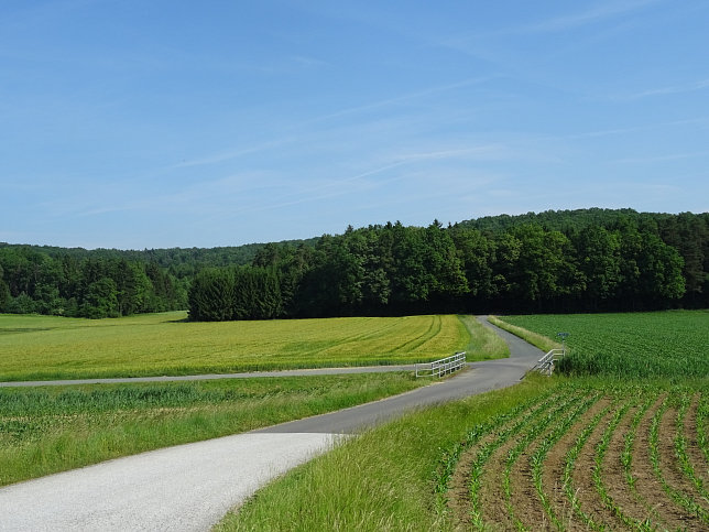 Limbach - Fitnesstour