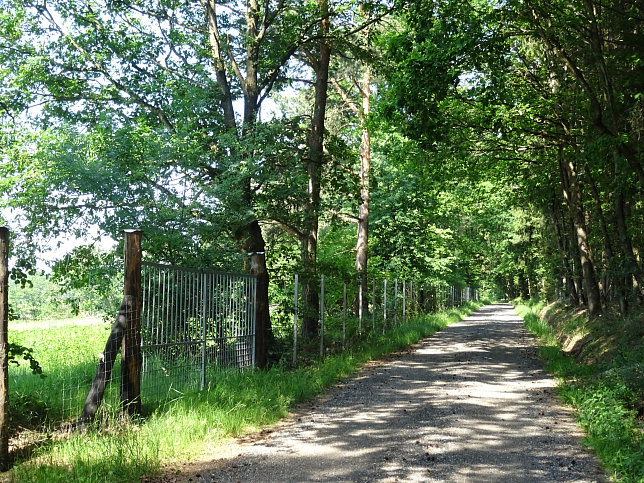 Limbach - Fitnesstour