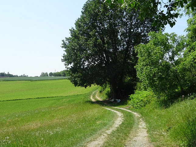 Limbach - Fitnesstour