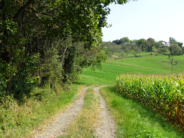 Limbach - Heutalrunde