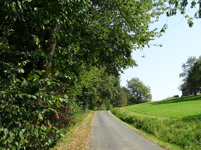 Limbach - Heutalrunde