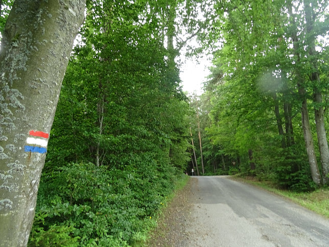 Mariasdorf - Rundwanderweg W71