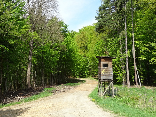 Wanderweg - Neustift-Fidischwald