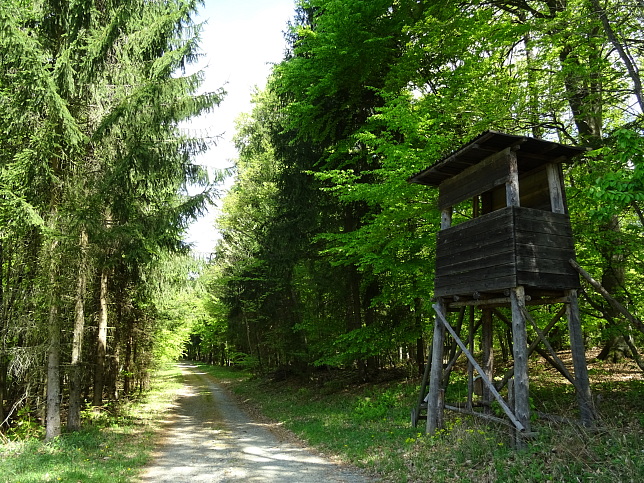 Wanderweg - Neustift-Fidischwald