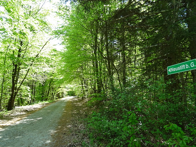 Wanderweg - Neustift-Fidischwald