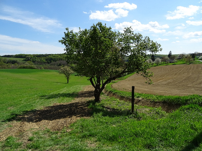 Wanderweg - Neustift-Fidischwald