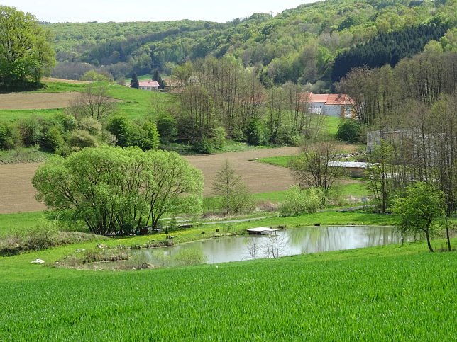 Wanderweg - Neustift-Fidischwald